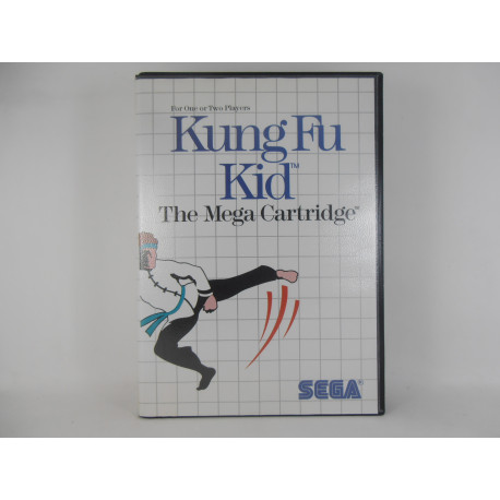 Kung Fu Kid