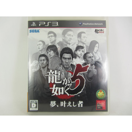 Ryu ga Gotoku 5: Yume  Kanaeshi Mono